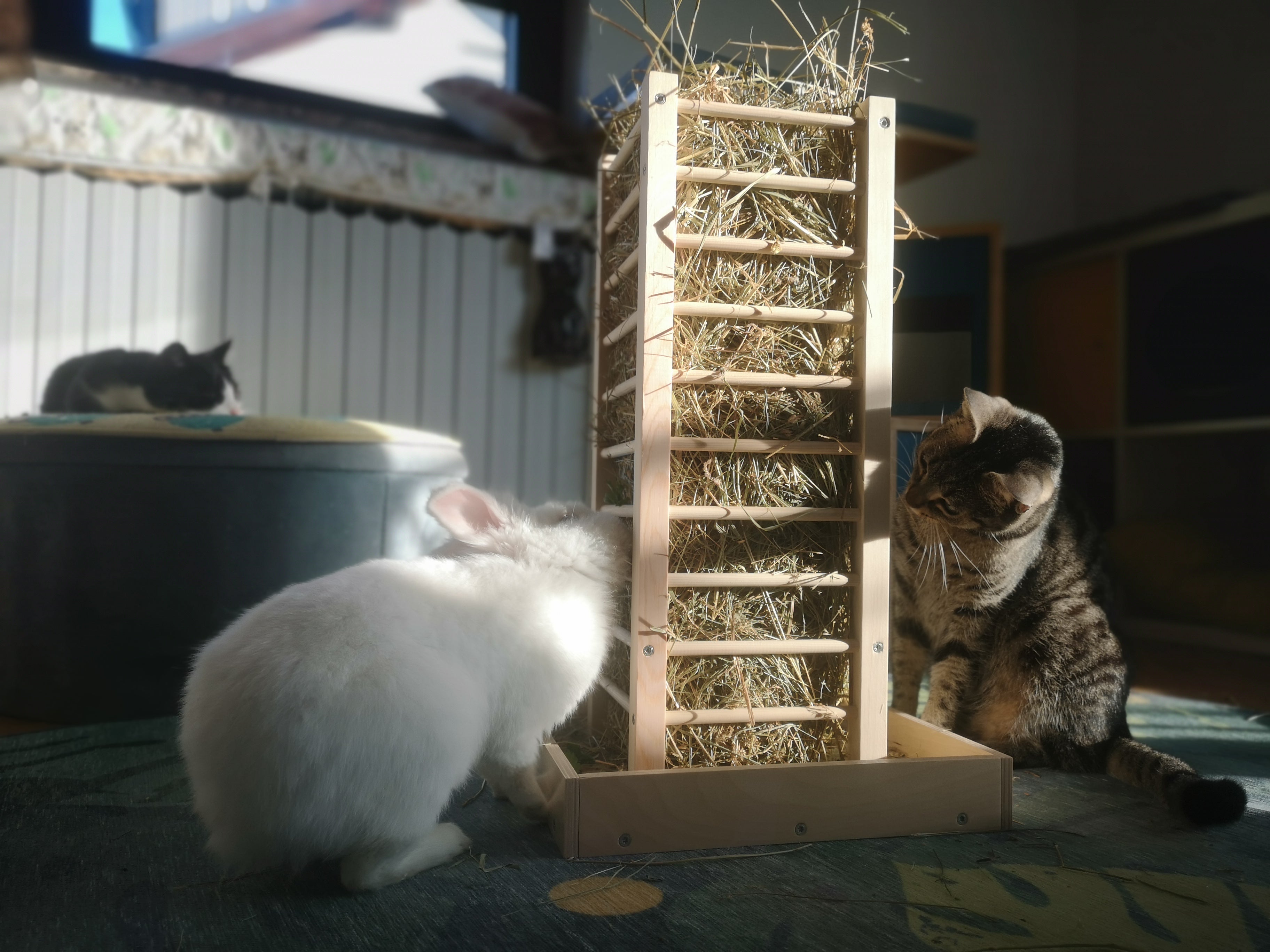 Rabbit Hay Rack Feeder Tower - Nibbler HayTower - Scratchy Things Premium Pet Furniture