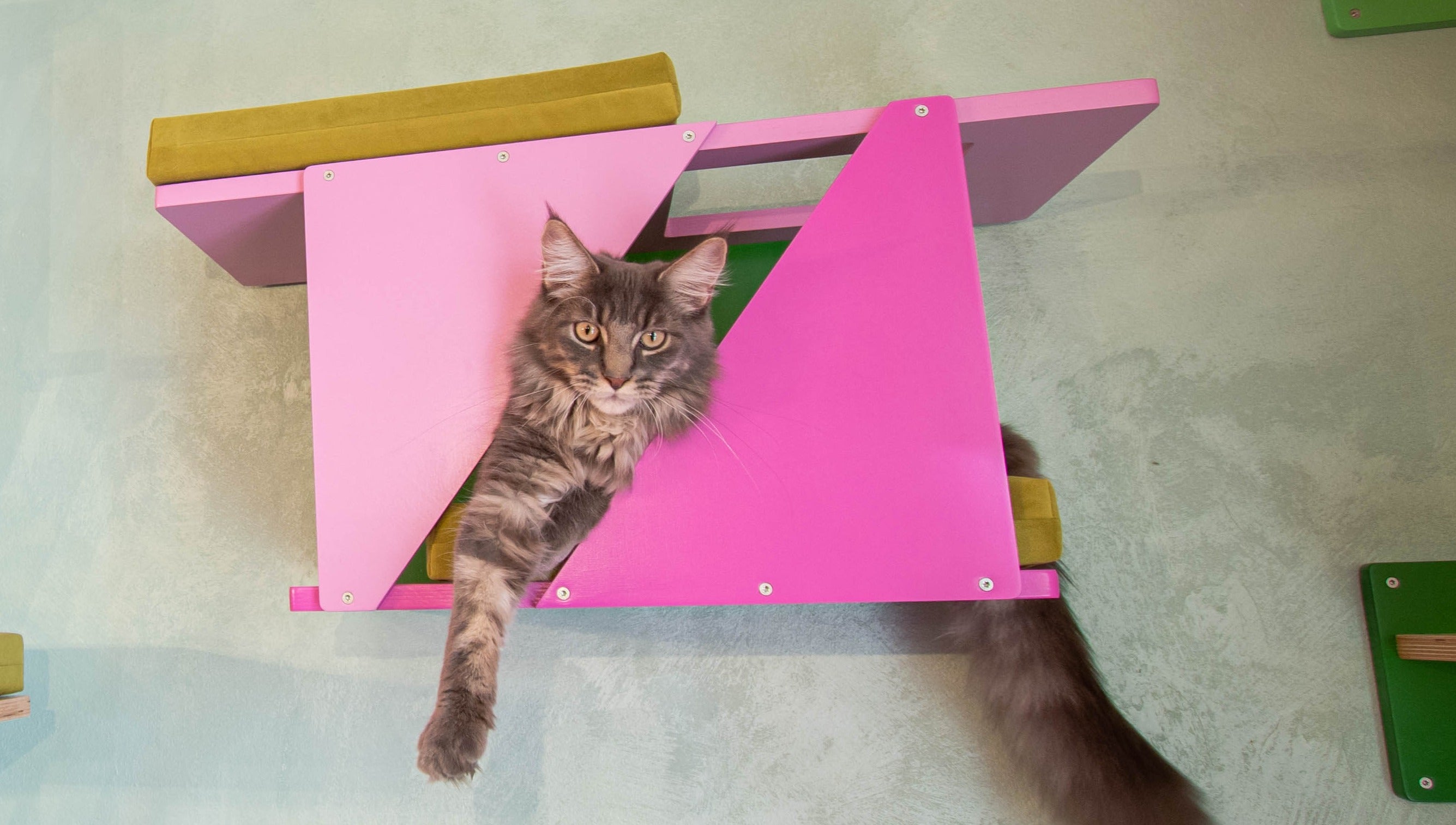 Big Cat Wall Shelf Bed Box - BigCat Sharp Tunnel Mini - Scratchy Things Premium Pet Furniture