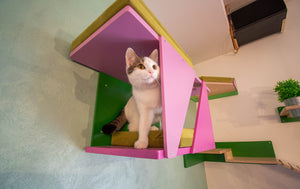 Big Cat Wall Shelf Bed Box - BigCat Sharp Tunnel Mini - Scratchy Things Premium Pet Furniture