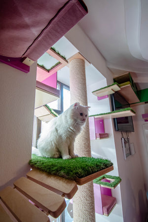 Cat Wall Bridge Shelf Step - Wally Bridge - Scratchy Things Premium Pet Furniture