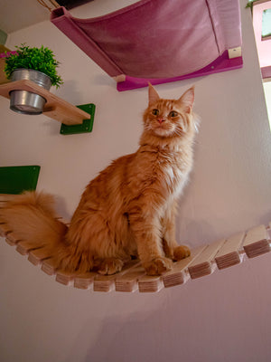 Cat Wall Bridge Shelf Step - Wally Bridge - Scratchy Things Premium Pet Furniture