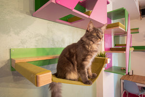 Cat Wall Shelf Bed Hammock - Wally ComboCot - Scratchy Things Premium Pet Furniture