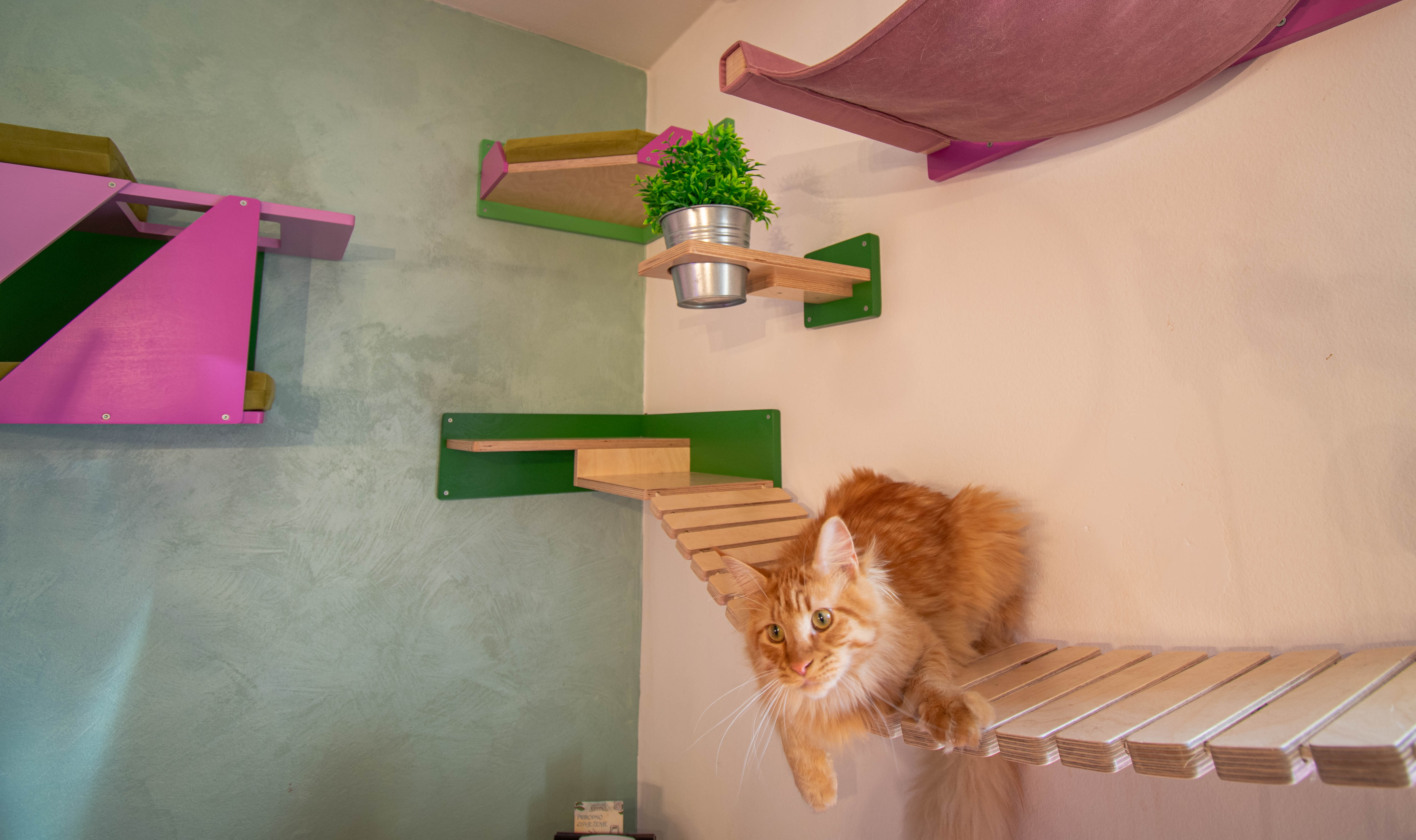 Cat Wall Bridge Shelf Step - Wally Bridge - Scratchy Things Premium Pet Furniture