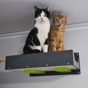 Cat Wall Shelf Bed Bundle - Wally Flat Plus Double Bundle - Scratchy Things Premium Pet Furniture