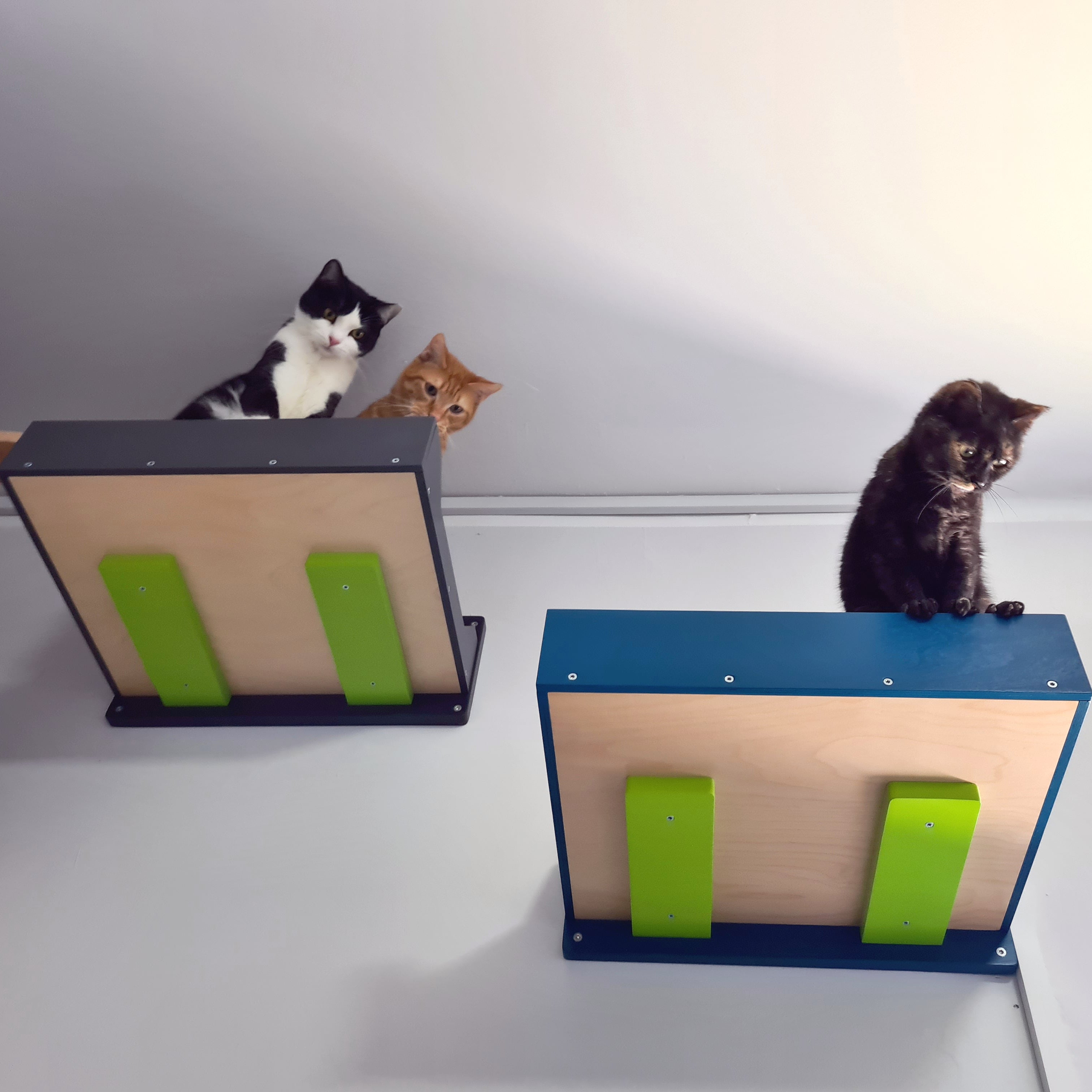 Cat Wall Shelf Bed Bundle - Wally Flat Plus Double Bundle - Scratchy Things Premium Pet Furniture