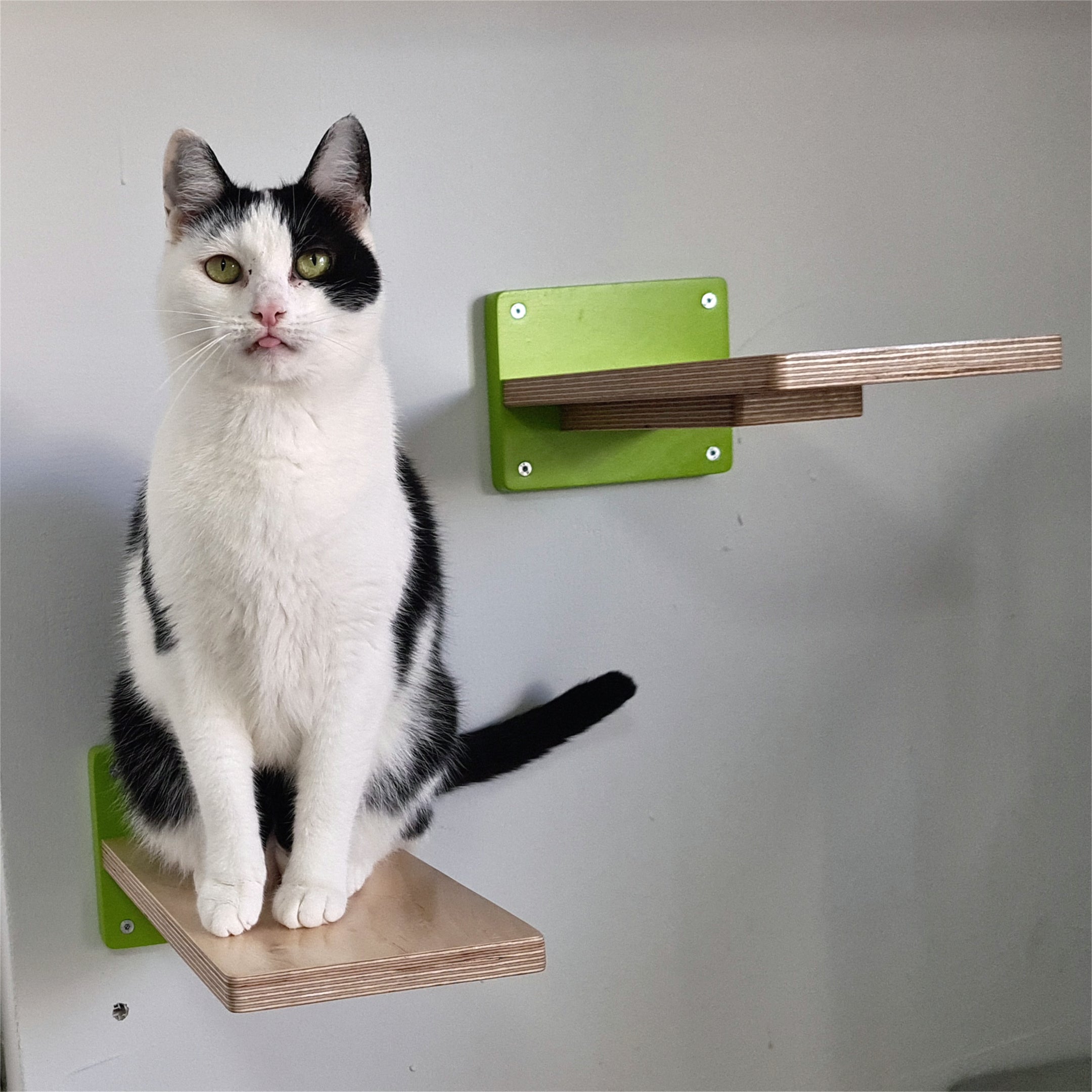 Car Wall Step Shelf - Wally 1-Step - Scratchy Things Premium Pet Furniture