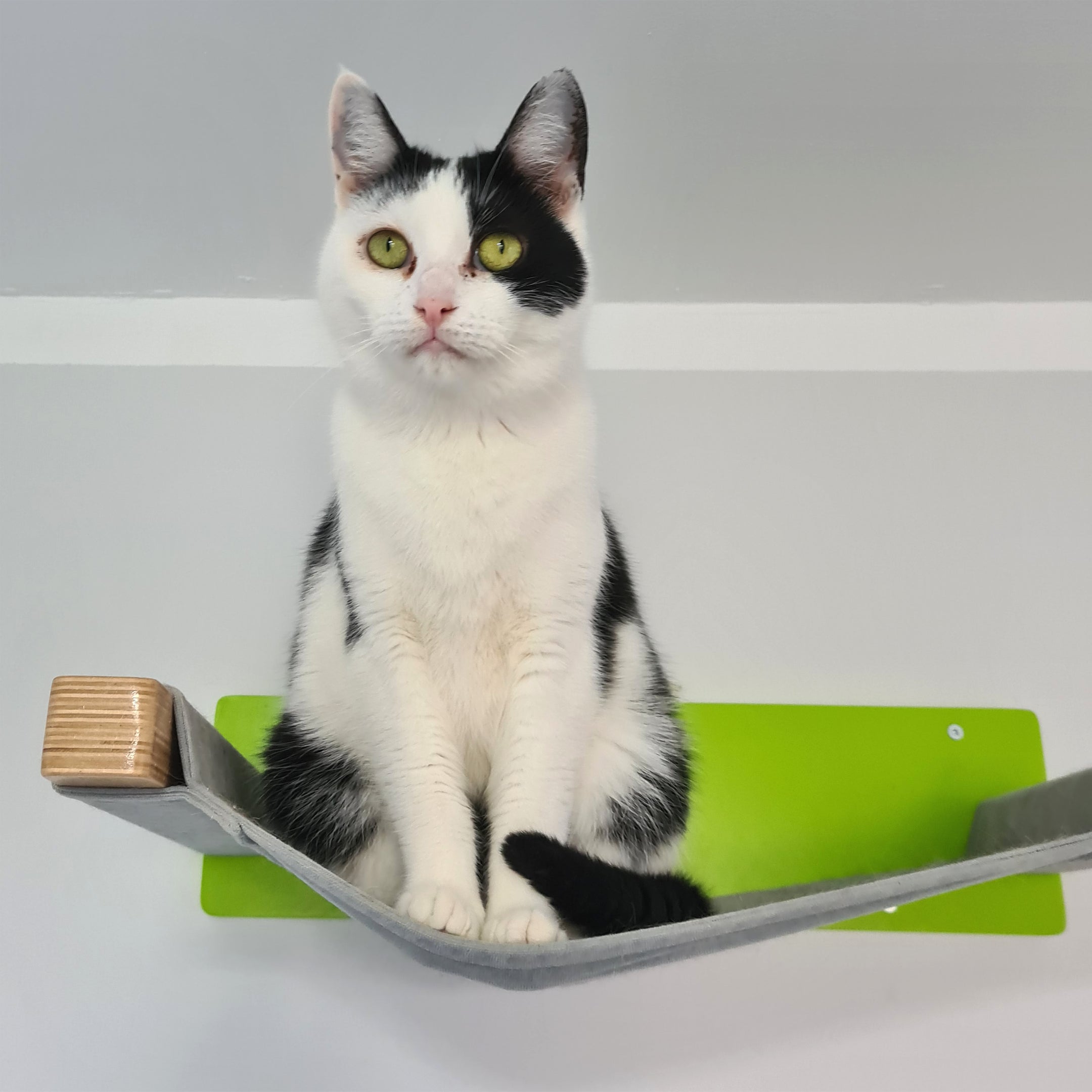 Cat Wall Shelf Bed Hammock - Wally Cot - Scratchy Things Premium Pet Furniture