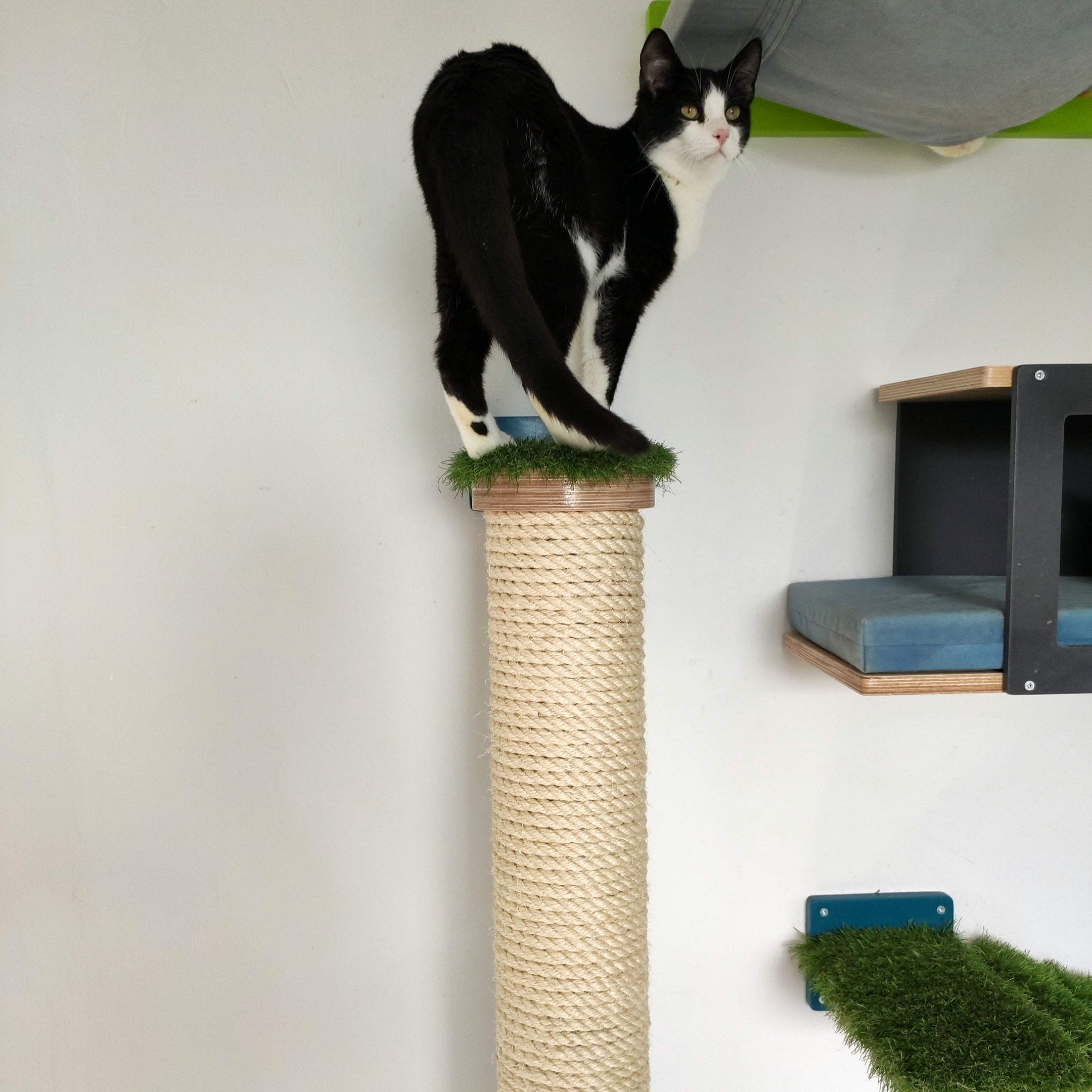 Cat Wall Scratching Pole Post Shelf - Mounty Post - Scratchy Things Premium Pet Furniture