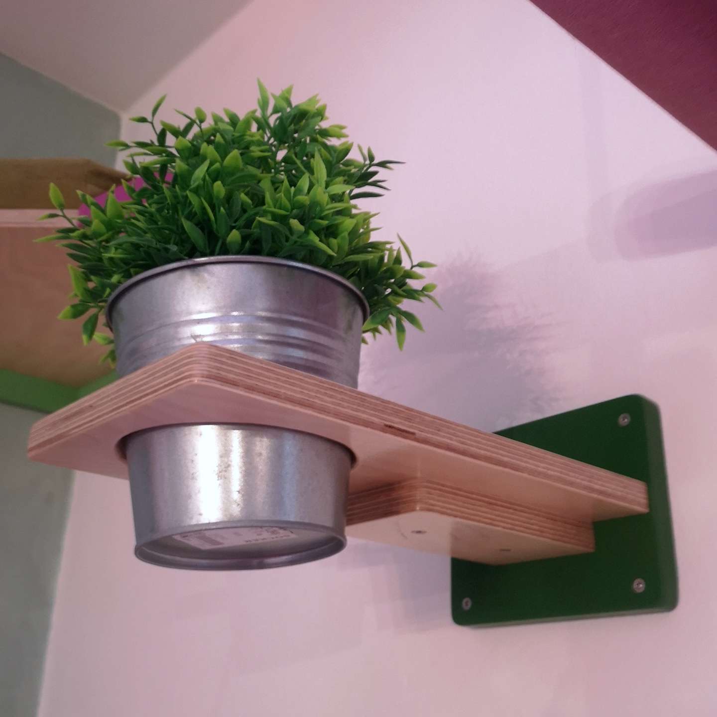 Cat Wall Shelf Step Plant - Wally Flora - Scratchy Things Premium Pet Furniture
