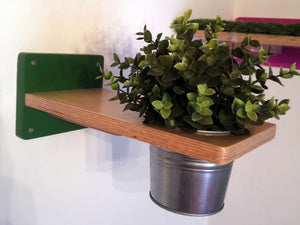 Cat Wall Shelf Step Plant - Wally Flora - Scratchy Things Premium Pet Furniture