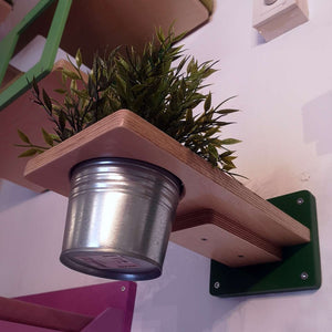 Cat Wall Shelf Step Plant - Wally Flora - Scratchy Things Premium Pet Furniture