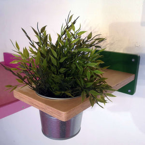 Cat Wall Shelf Step Plant - Wally Flora - Scratchy Things Premium Pet Furniture