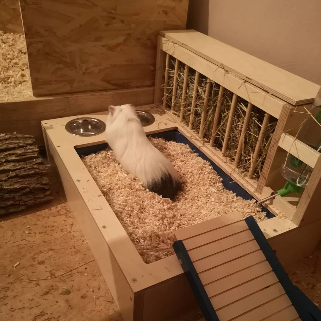 Rabbit Hay Feeder Water Litter box - Nibbler Combo 4in1 - Scratchy Things Premium Pet Furniture