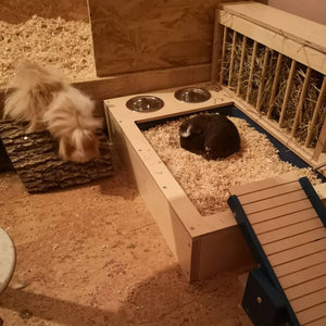 Rabbit Hay Feeder Water Litter box - Nibbler Combo 4in1 - Scratchy Things Premium Pet Furniture