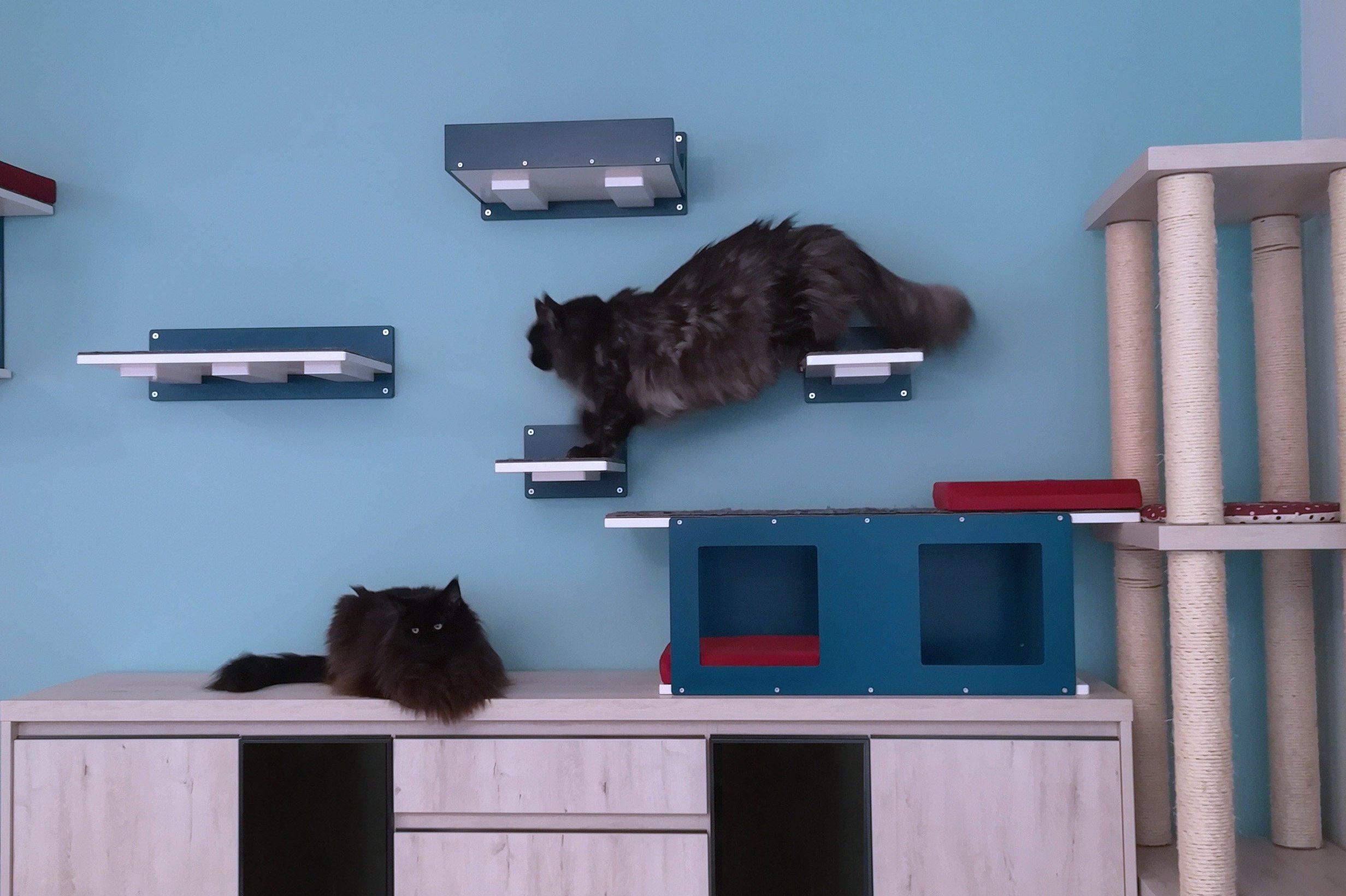 Big Cat Step Giant - Wally Giant 1-Step - Scratchy Things Premium Pet Furniture