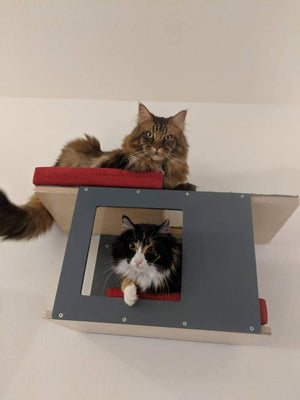 Big Cat Wall Shelf Bed Bundle - Wally BigCat Mini Play Bundle - Scratchy Things Premium Pet Furniture