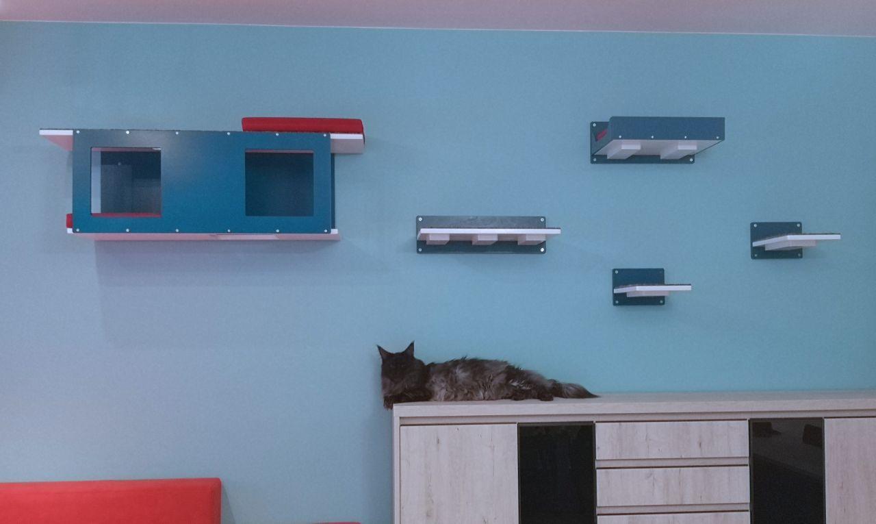 Big Cat Wall Shelf Bed Giant - Wally Giant Tunnel - Scratchy Things Premium Pet Furniture