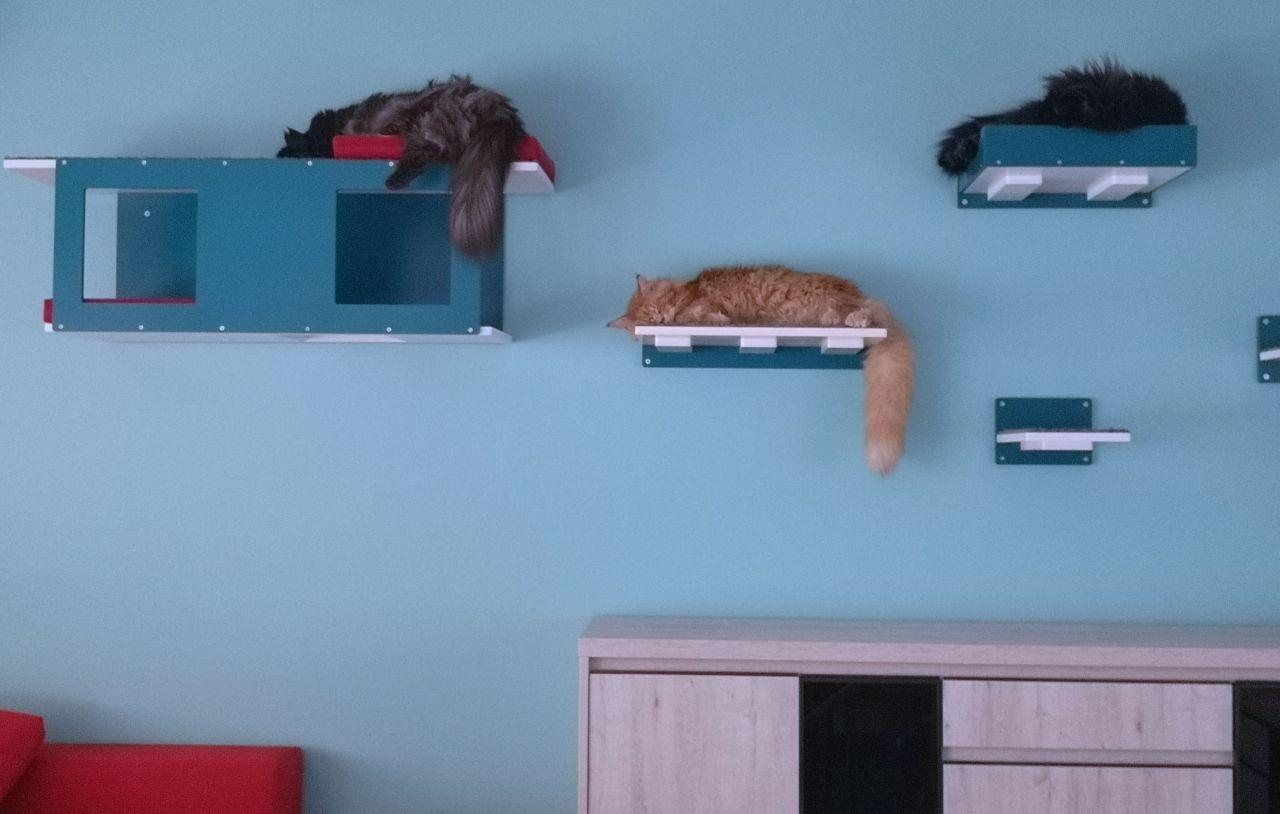 Big Cat Wall Shelf Bed Giant - Wally Giant Tunnel - Scratchy Things Premium Pet Furniture