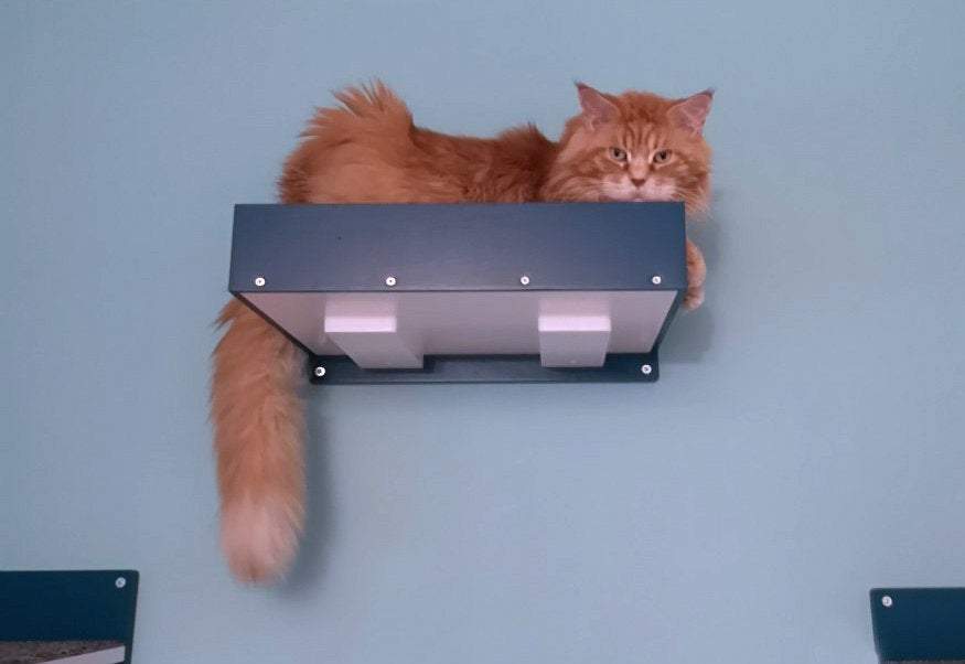 Big Cat Wall Shelf Bed - Wally BigCat Flat Plus - Scratchy Things Premium Pet Furniture