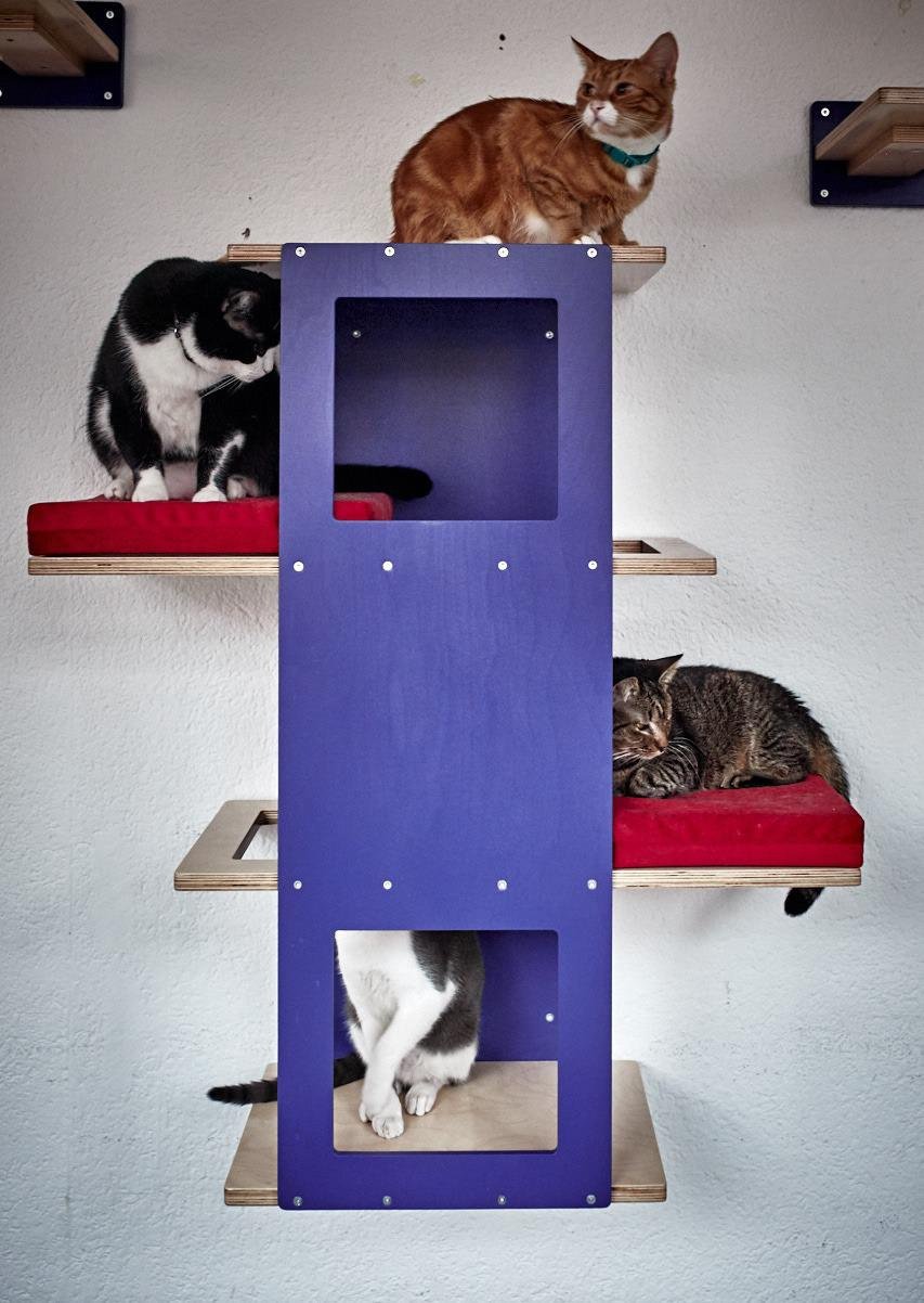 Big Cat Wall Shelf Bed - Wally BigCat Stacker - Scratchy Things Premium Pet Furniture