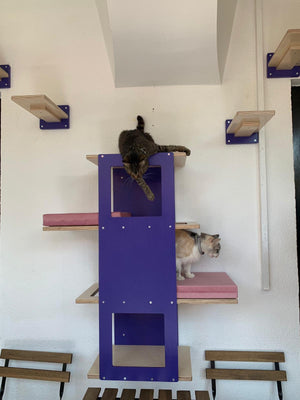 Big Cat Wall Shelf Bed - Wally BigCat Stacker - Scratchy Things Premium Pet Furniture