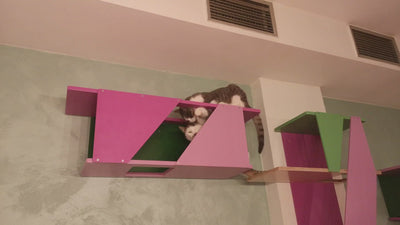 BigCat Sharp Tunnel - Scratchy Things Premium Pet Furniture