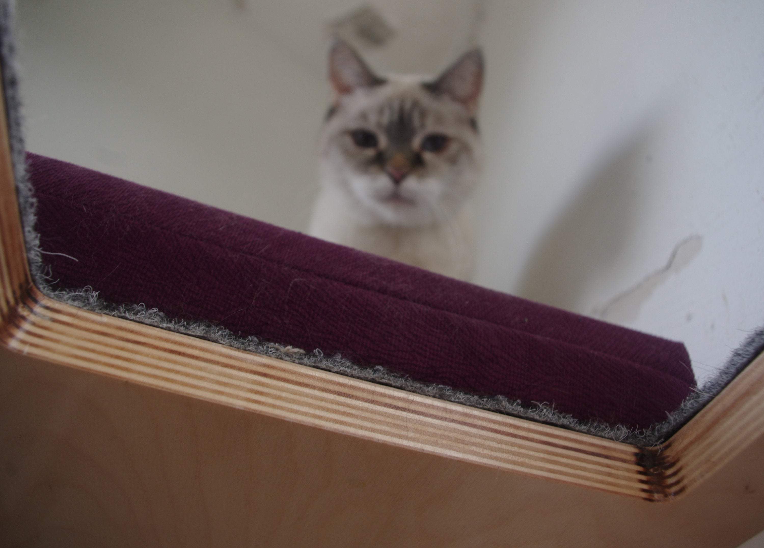 Cat Cushion Hammock Extra Replacement - Replacement extra cushions - Scratchy Things Premium Pet Furniture