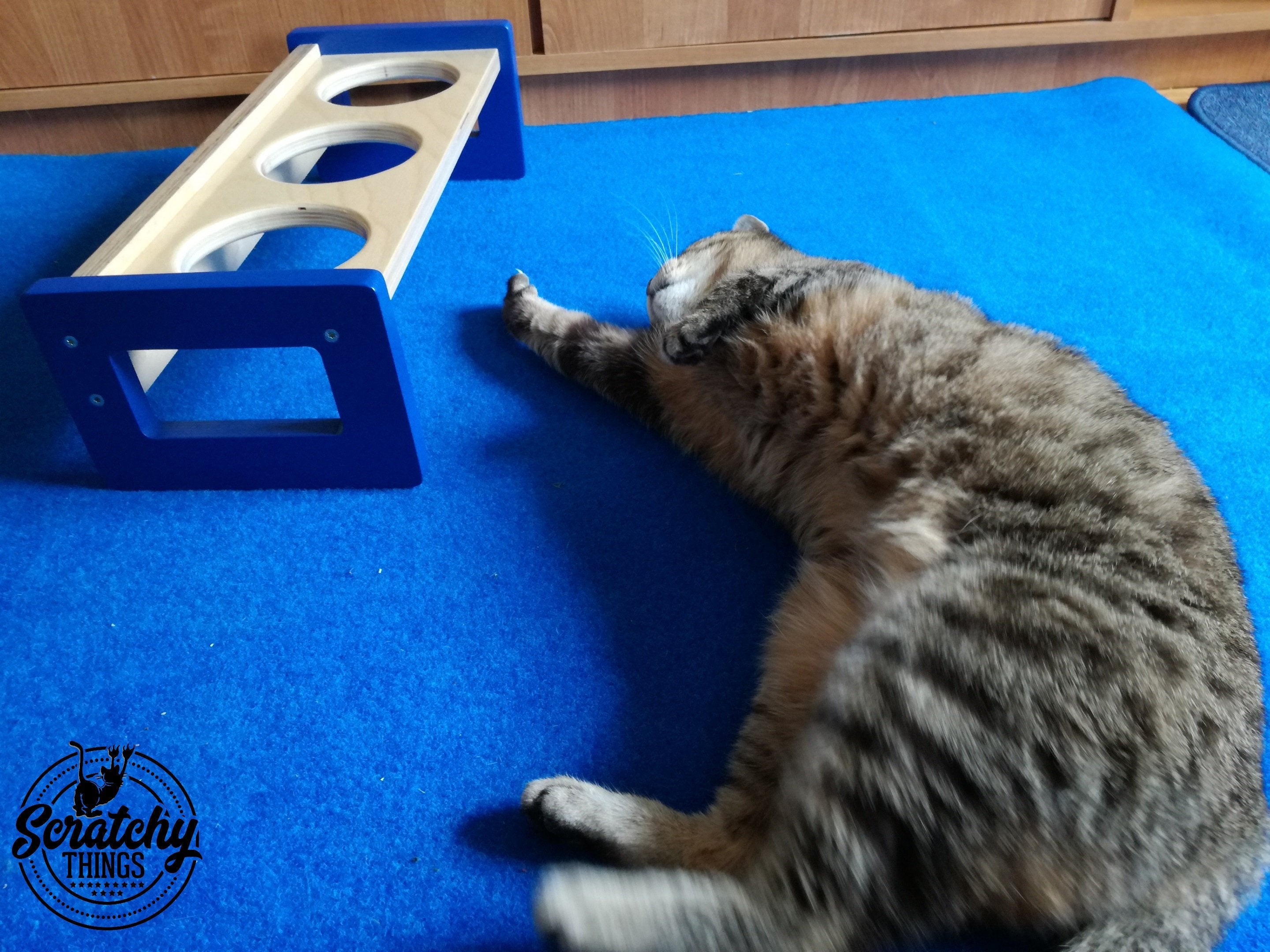 Cat Floor Feeder - Floory Brunch Trio - Scratchy Things Premium Pet Furniture