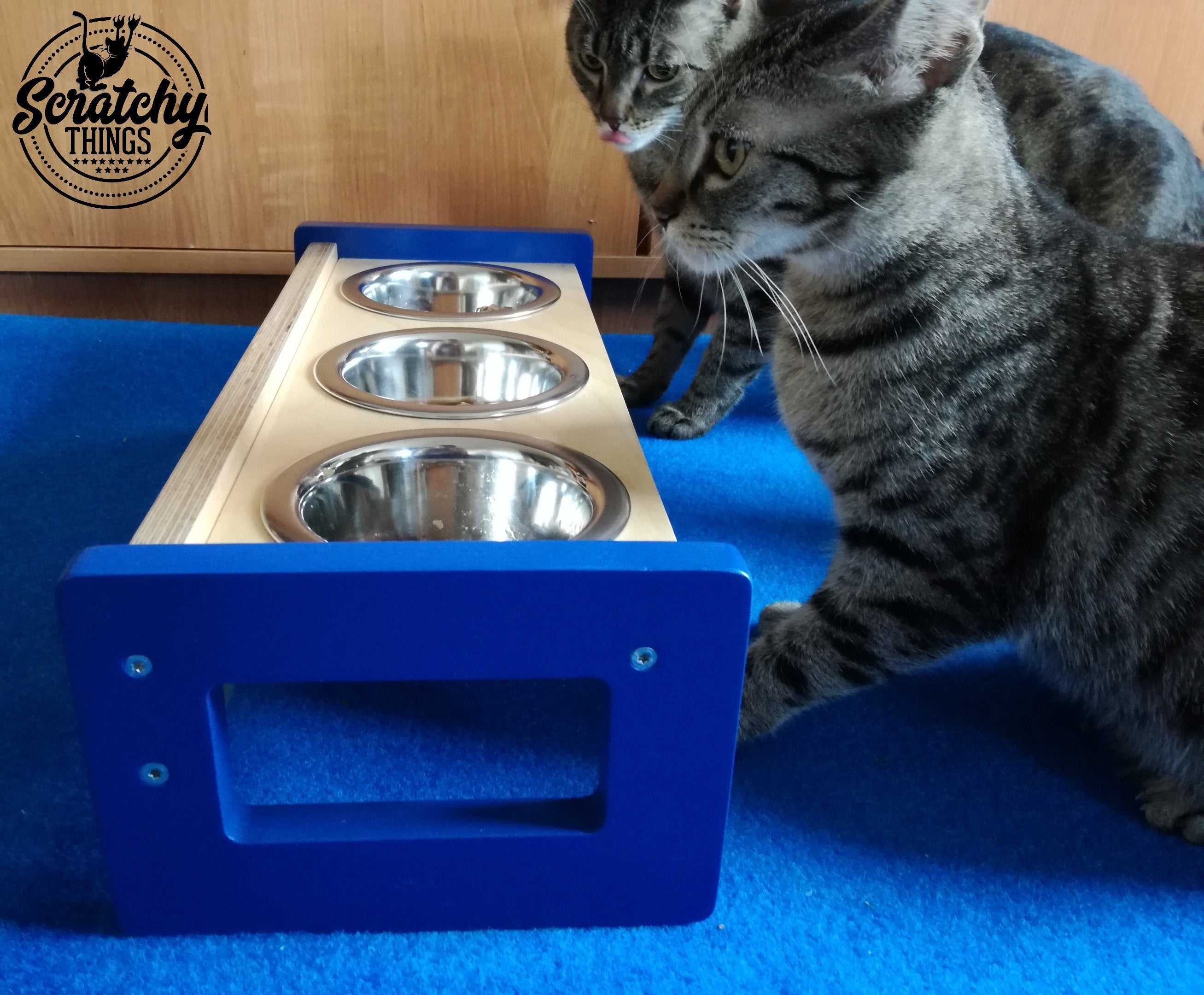 Cat Floor Feeder - Floory Brunch Trio - Scratchy Things Premium Pet Furniture