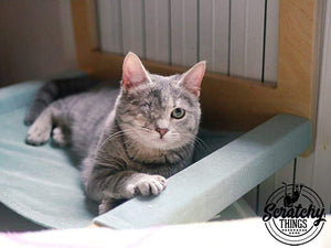 Cat Radiator Bed Hammock - Toasty Cot - Scratchy Things Premium Pet Furniture