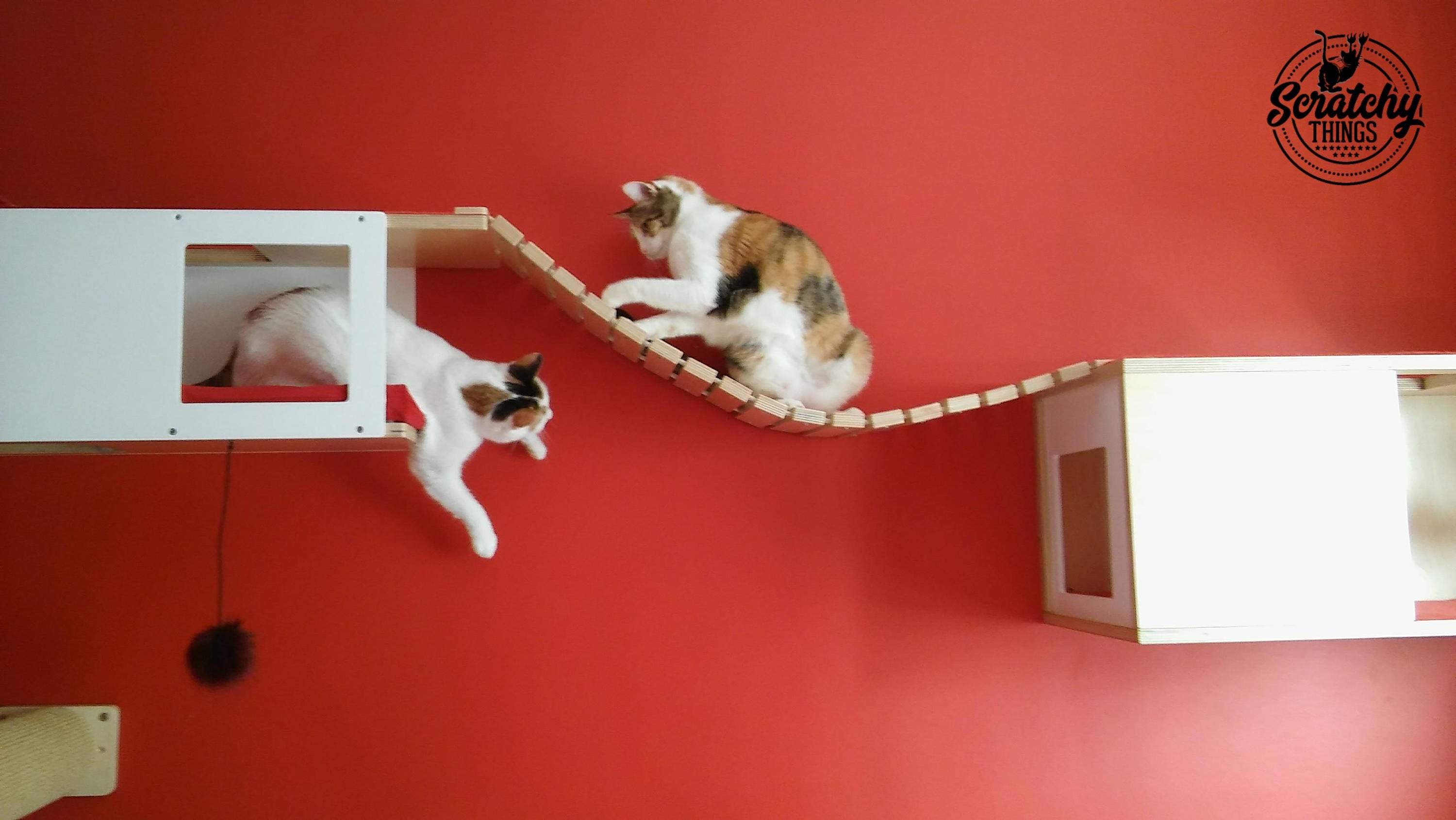 Cat Wall Bridge Shelf Step - Wally Bridge (Solo - 1-Step mount) - Scratchy Things Premium Pet Furniture