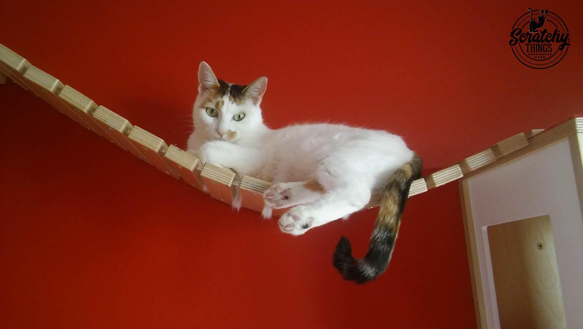 Cat Wall Bridge Shelf Step - Wally Bridge (Solo - Solo mount) - Scratchy Things Premium Pet Furniture
