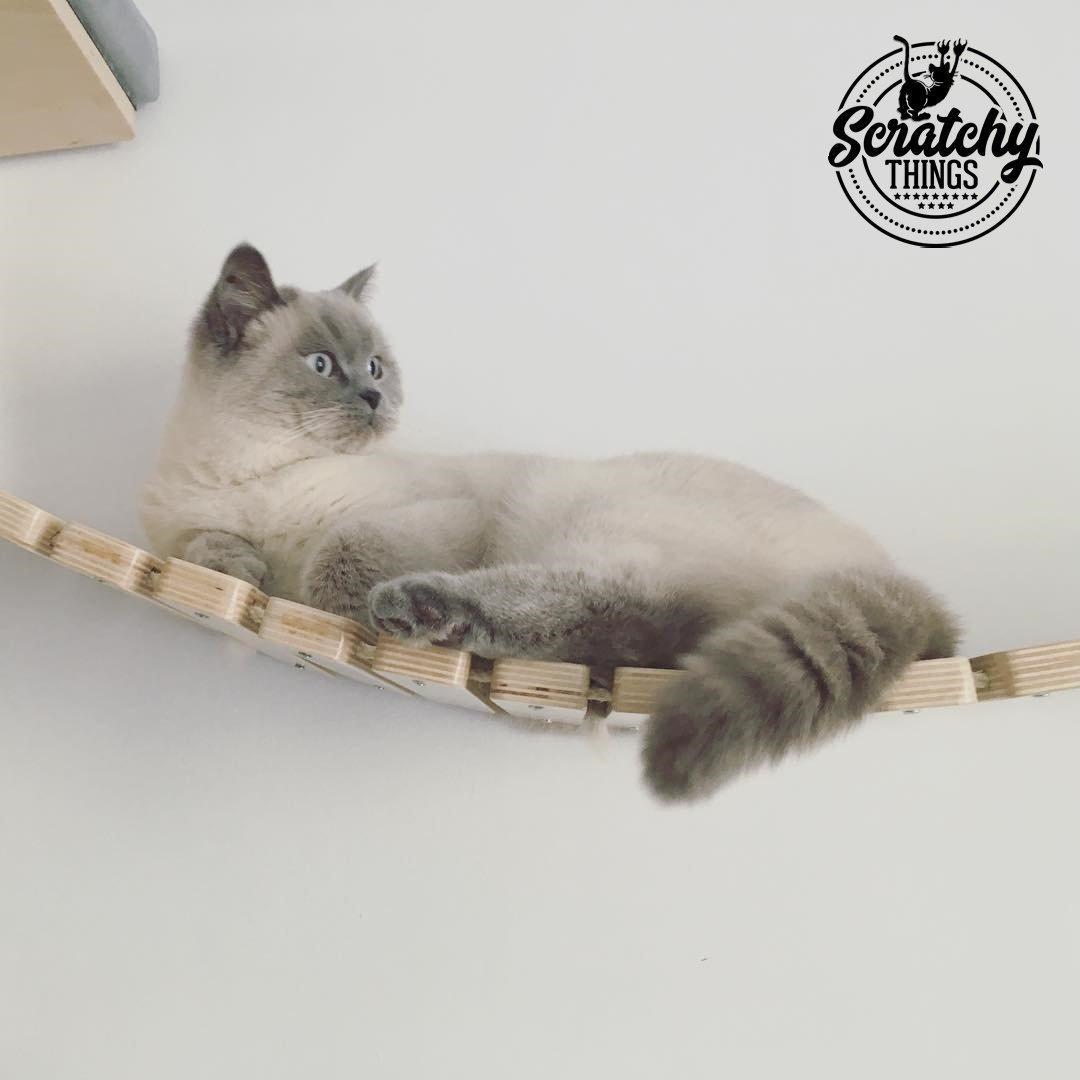 Cat Wall Bridge Shelf Step - Wally Bridge (Solo - Solo mount) - Scratchy Things Premium Pet Furniture