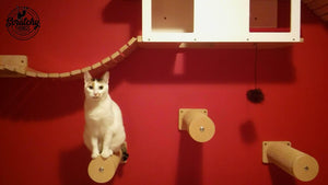 Cat Wall Scratching Pole Step Shelf - Wally Round Step - Scratchy Things Premium Pet Furniture