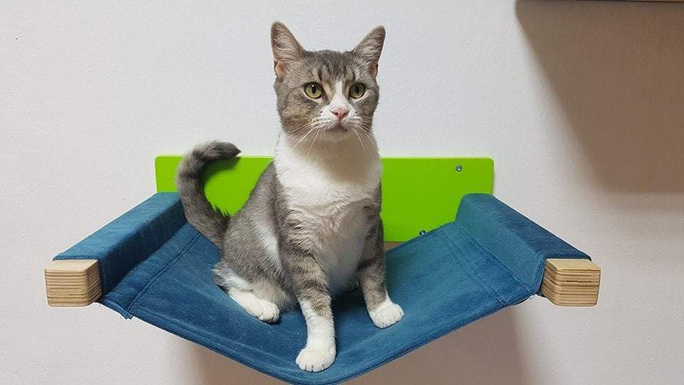 Cat Wall Shelf Bed Hammock - Wally Cot - Scratchy Things Premium Pet Furniture