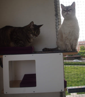 Cat Wall Shelf Bed - Wally Tunnel Mini - Scratchy Things Premium Pet Furniture