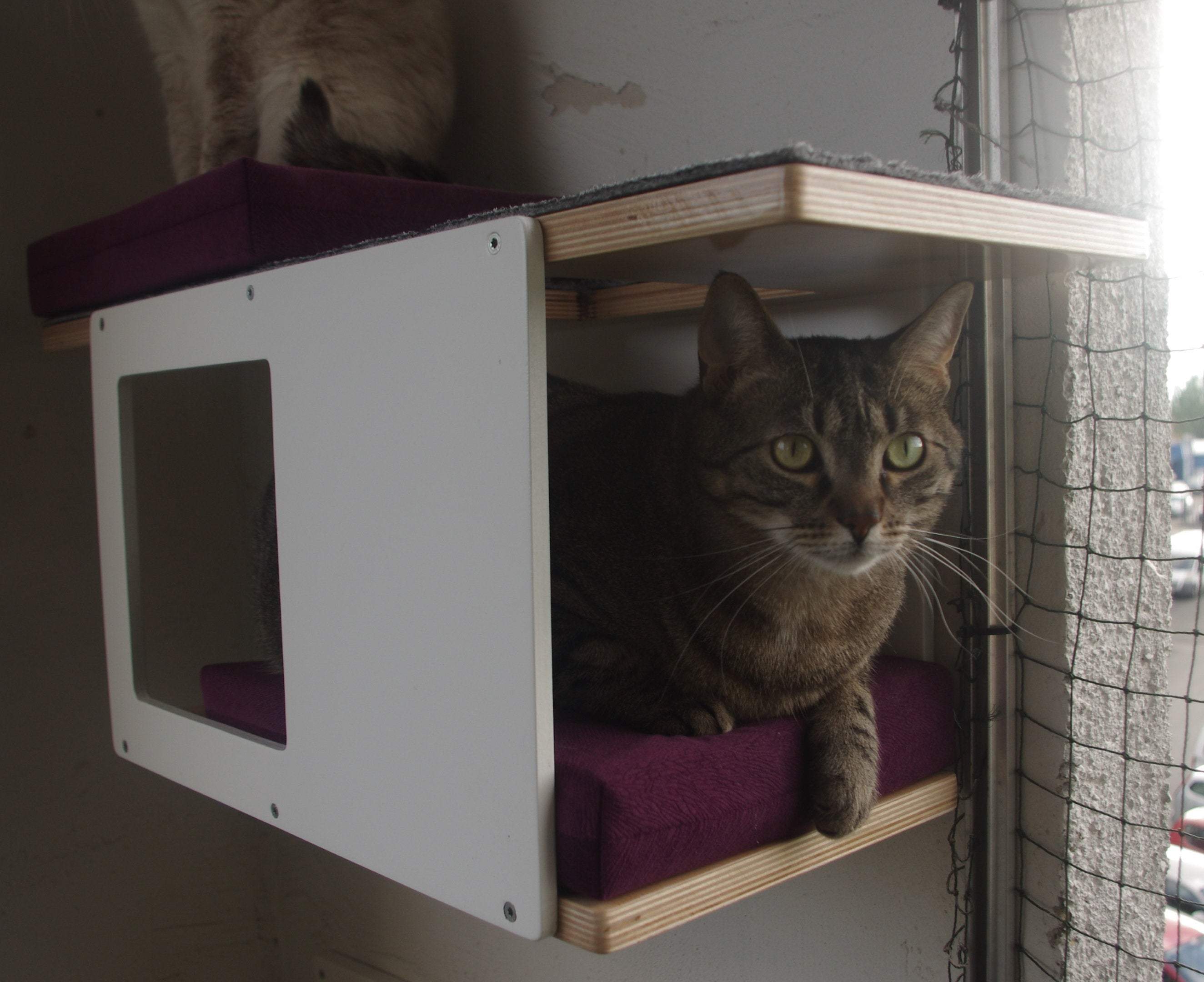 Cat Wall Shelf Bed - Wally Tunnel Mini - Scratchy Things Premium Pet Furniture