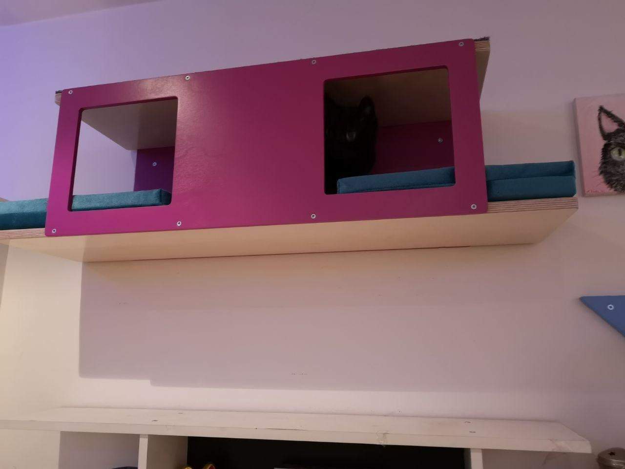 Cat Wall Shelf Bed - Wally Tunnel Upside-Down - Scratchy Things Premium Pet Furniture