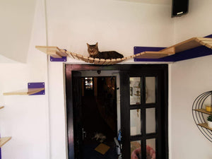 Cat Wall Shelf Bridge Bed Bundle - Purple Bundle - Scratchy Things Premium Pet Furniture