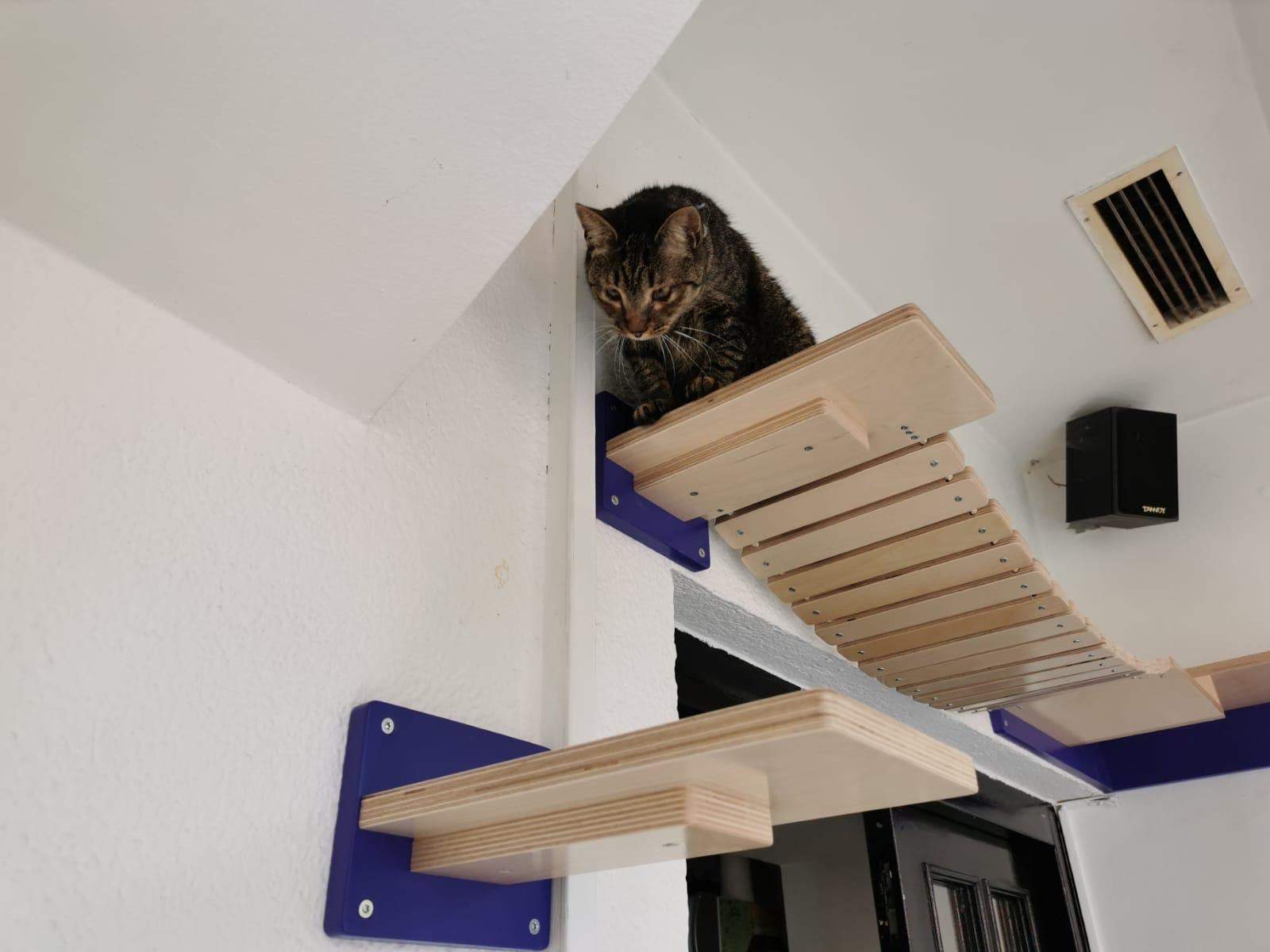 Cat Wall Shelf Bridge Bed Bundle - Purple Bundle - Scratchy Things Premium Pet Furniture