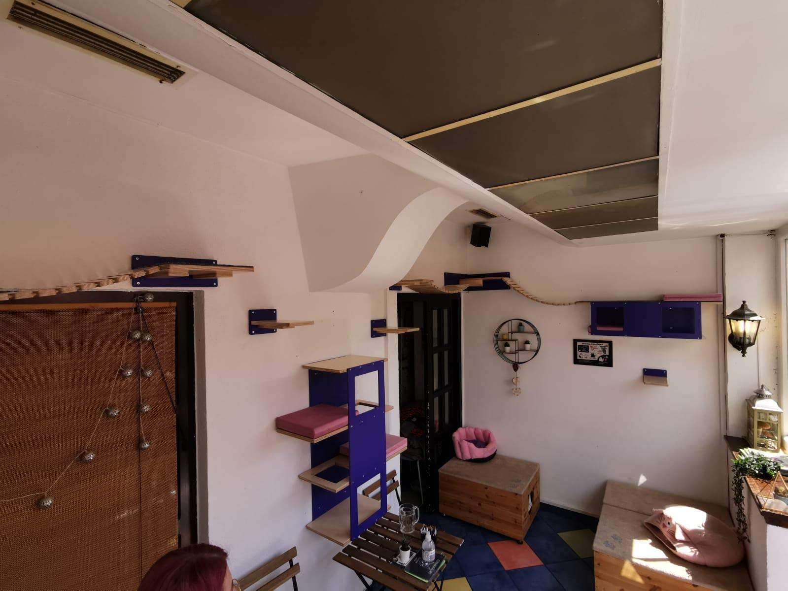 Cat Wall Shelf Bridge Bed Bundle - Purple Bundle - Scratchy Things Premium Pet Furniture