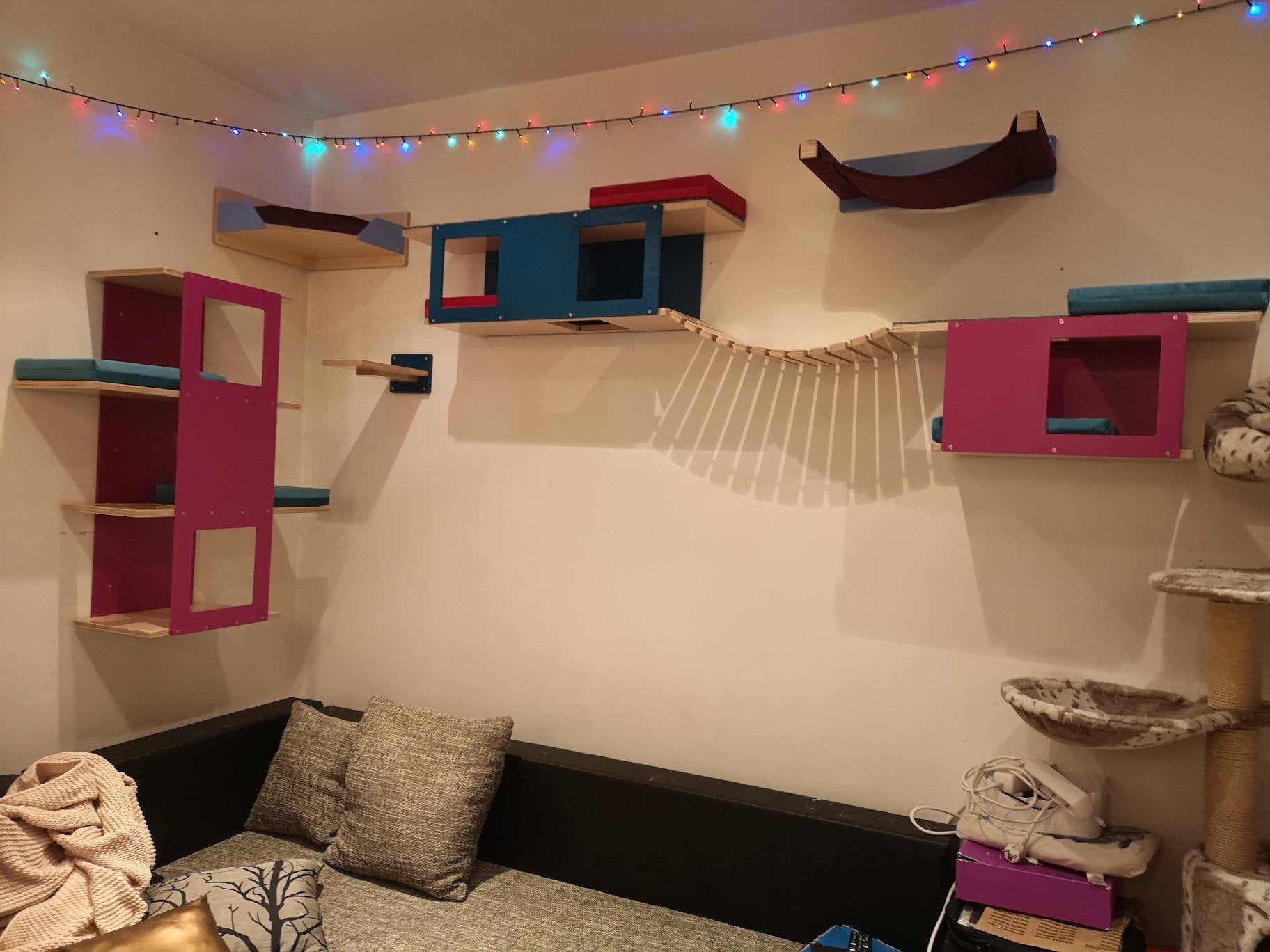 Cat Wall Shelf Bridge Bed Bundle - Splash of Color Bundle - Scratchy Things Premium Pet Furniture