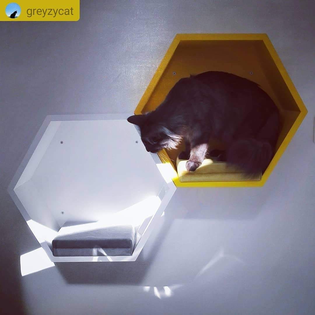 Cat Wall Shelf Hexagonal Bed Bundle - Wally Hex 25 2-pack - Scratchy Things Premium Pet Furniture