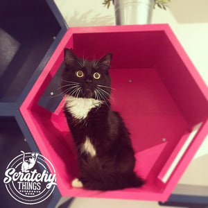 Cat Wall Shelf Hexagonal Bed - Wally Hex 25 - Scratchy Things Premium Pet Furniture