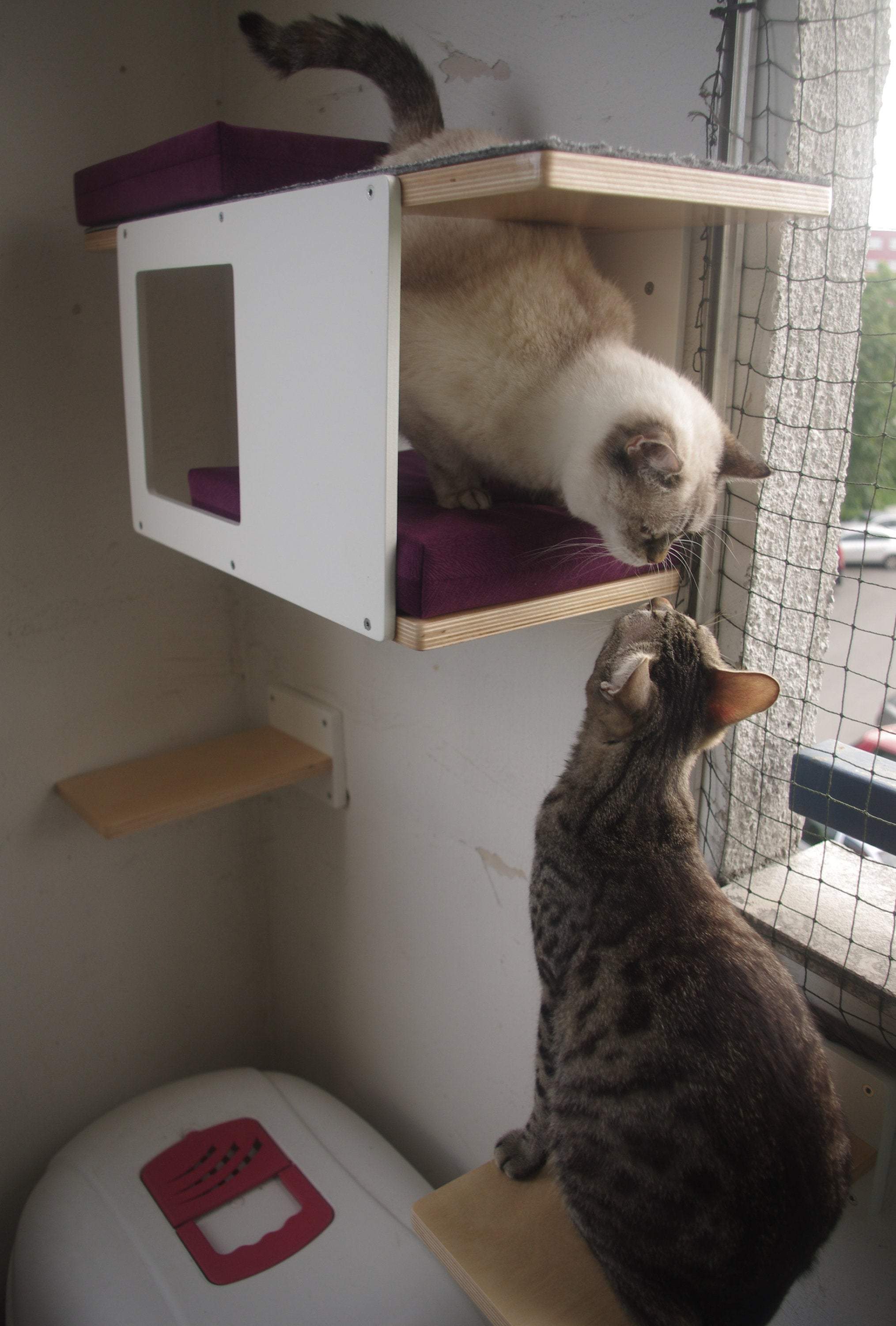 Cat Wall Shelf Step Bed Bundle - Wally Mini Bundle - Scratchy Things Premium Pet Furniture