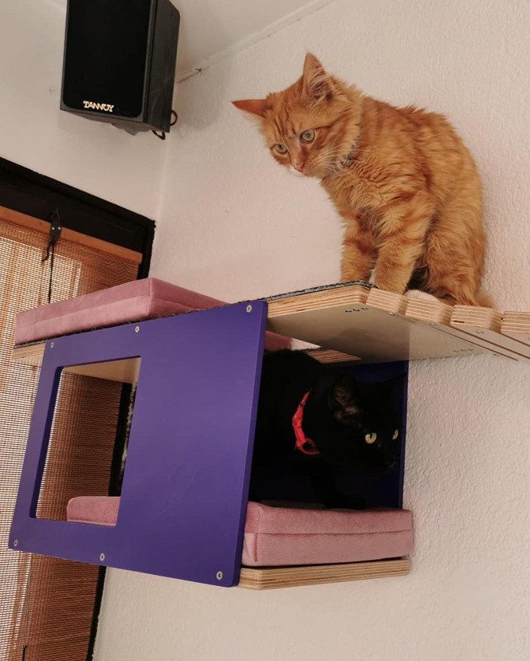 Cat Wall Shelf Step Bridge Bed Bundle - Wally Play Bundle Mini - Scratchy Things Premium Pet Furniture