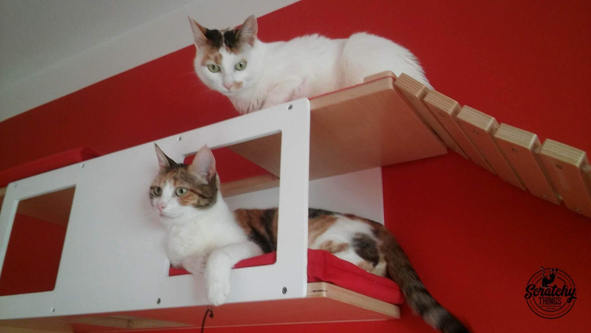 Cat Wall Shelf Step Bridge Bed Bundle - Wally Play Bundle - Scratchy Things Premium Pet Furniture