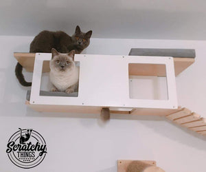 Cat Wall Shelf Step Bridge Bed Bundle - Wally Tunnel Bridge Bundle - Scratchy Things Premium Pet Furniture
