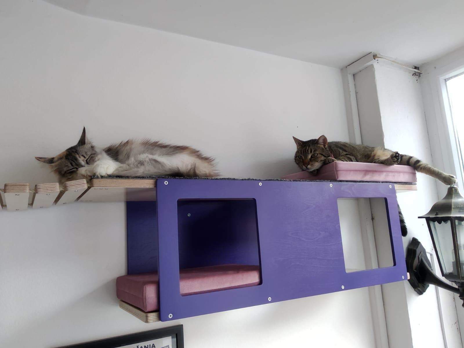Cat Wall Shelf Step Bridge Bed Bundle - Wally Tunnel Bridge Bundle - Scratchy Things Premium Pet Furniture