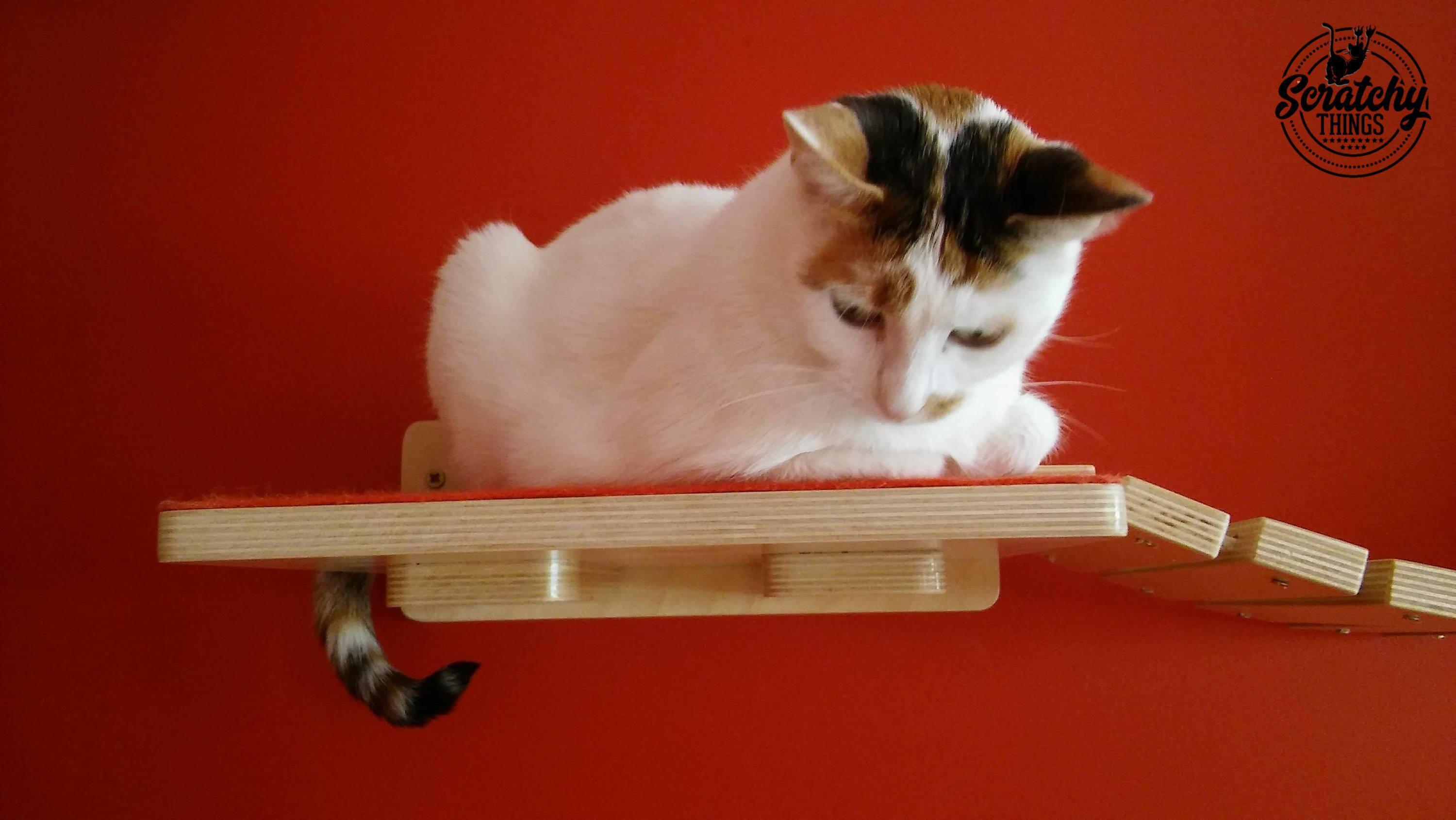 Cat Wall Shelf Step - Wally Flat - Scratchy Things Premium Pet Furniture